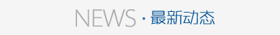 公司动态